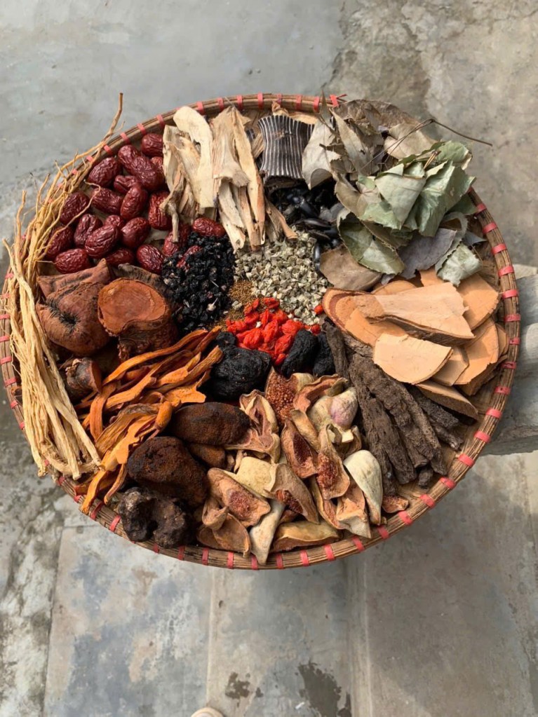 Combo thang ngâm rượu 17 vị bổ thận tráng dương thơm ngon